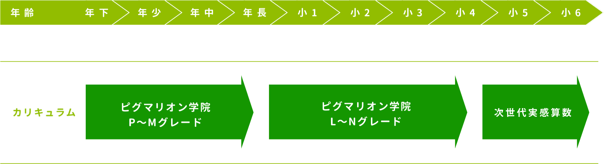 カリキュラム - 幼児・小学生❘思考力・認識能力の育成｜親子で